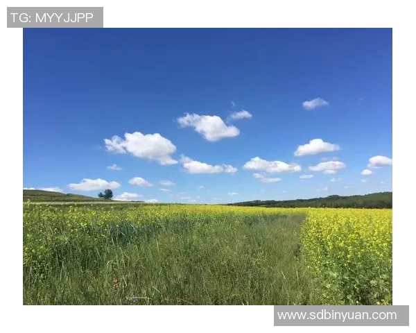 王秀英的极限运动人生探索与深度对话之旅