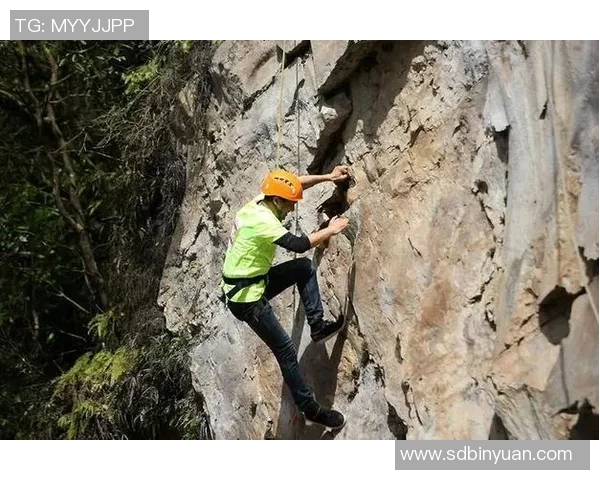 赵伟独家分享排球心得与技巧助你提升竞技水平与团队协作能力