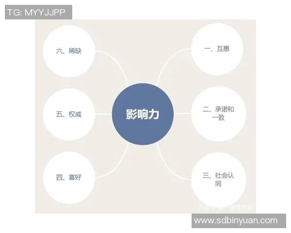 独家解析：WE意识形态的异同与影响力深度对比分析