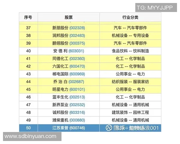 南京排球队的团队协作策略与实战表现深度分析与探讨