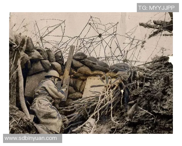 南京飞盘队的快攻革新之路探秘与战术解析