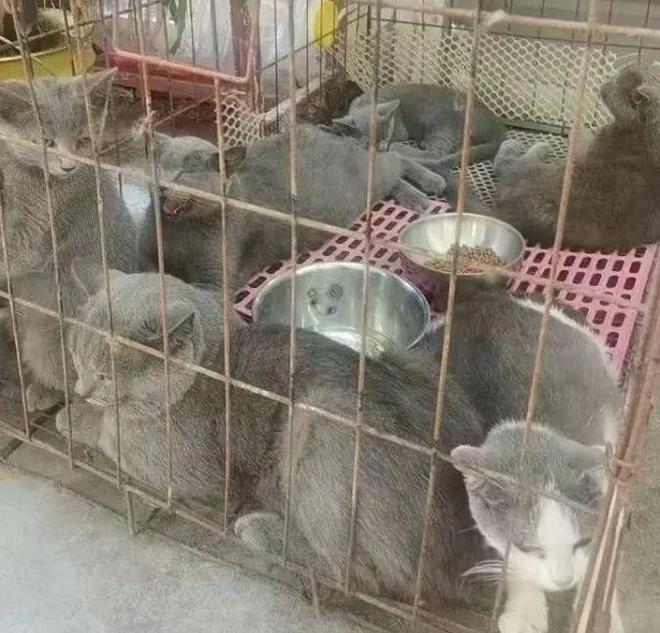 威尼斯wns.8885556镇雄二手物品出卖！快来看看有无你需求的工具！(图3)